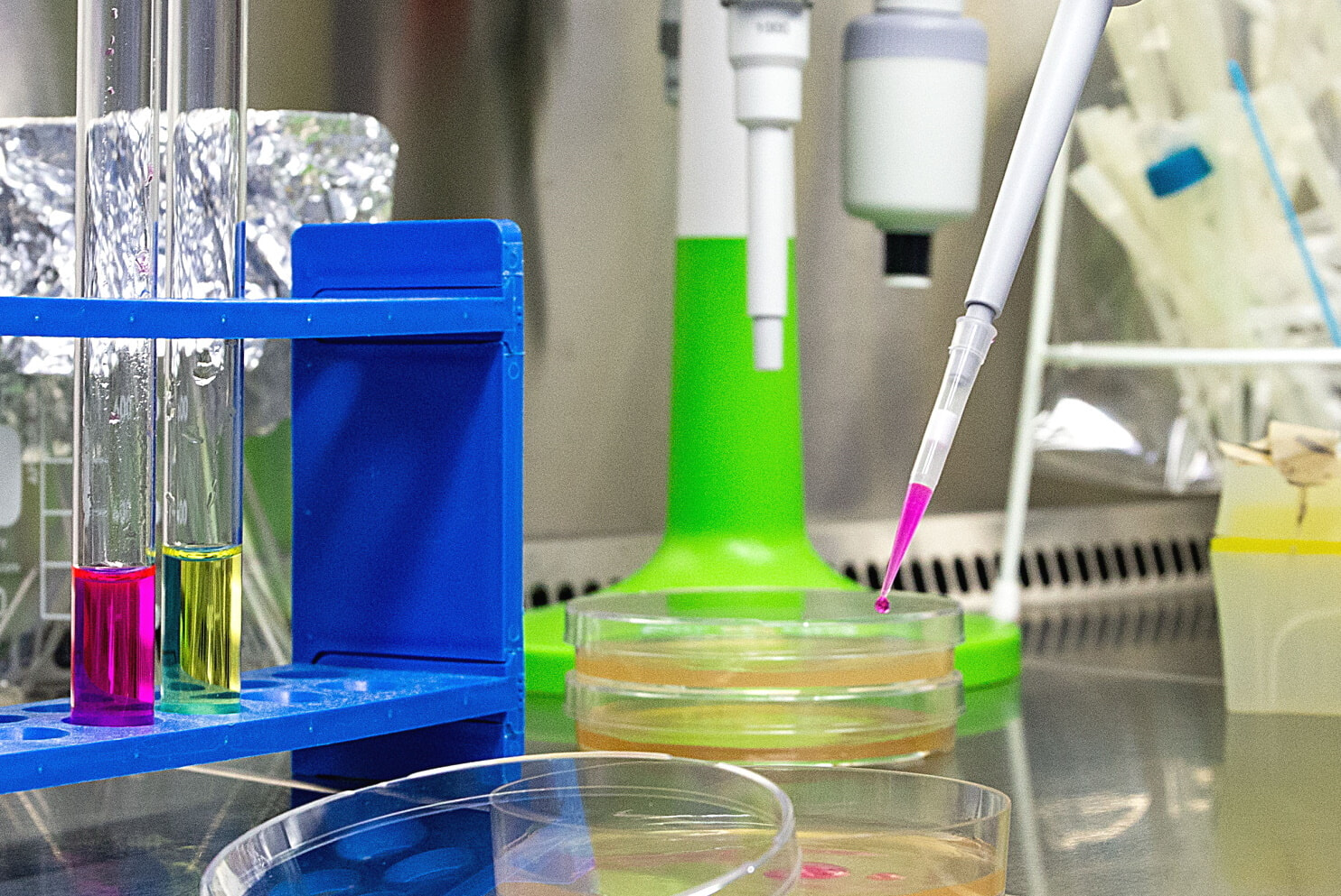 Entwicklung Oxytabs Rendsburg Home