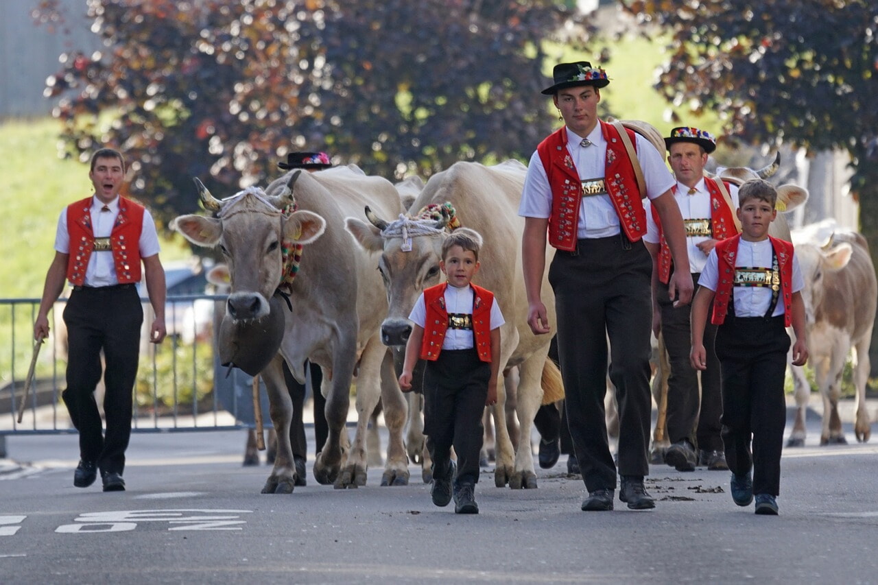 28. Roothuus Gonten – ZENTRUM FÜR APPENZELLER UND TOGGENBURGER VOLKSMUSIK