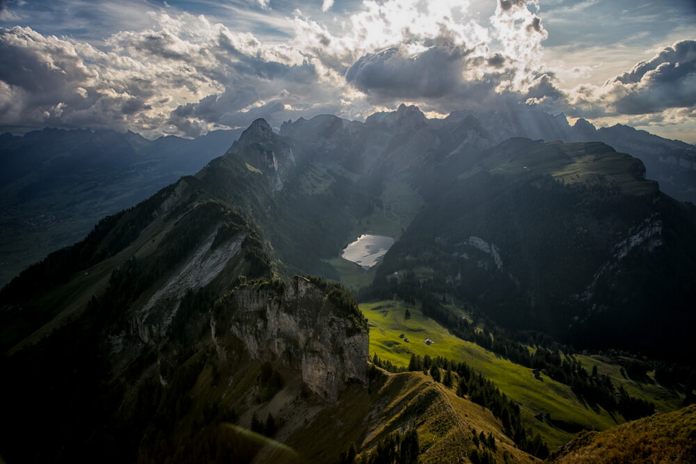 34. Führung Durch Den Alpengarten Hoher Kaster