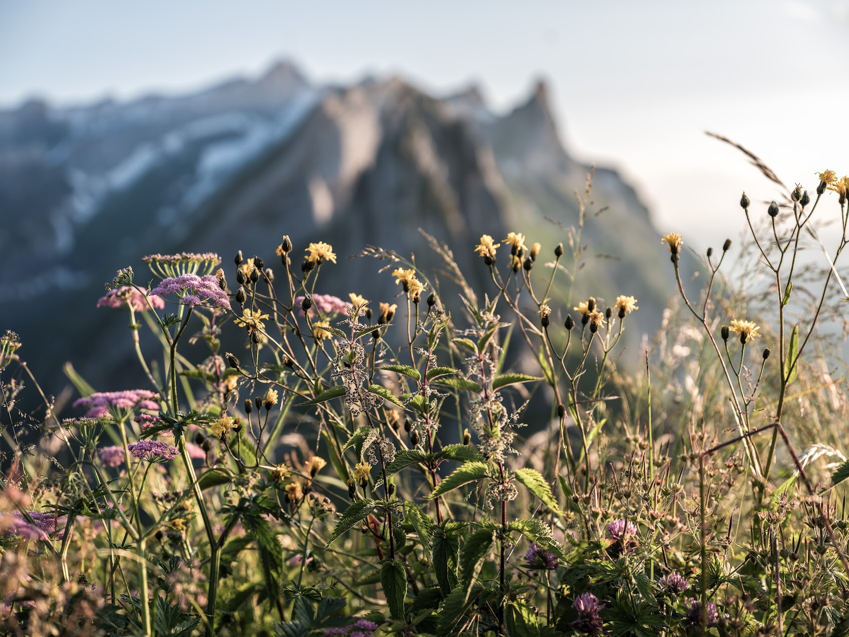61.APPENZELLER TROTTIPLAUSCH – «MIT EM FUESSWELO DÖRAB»