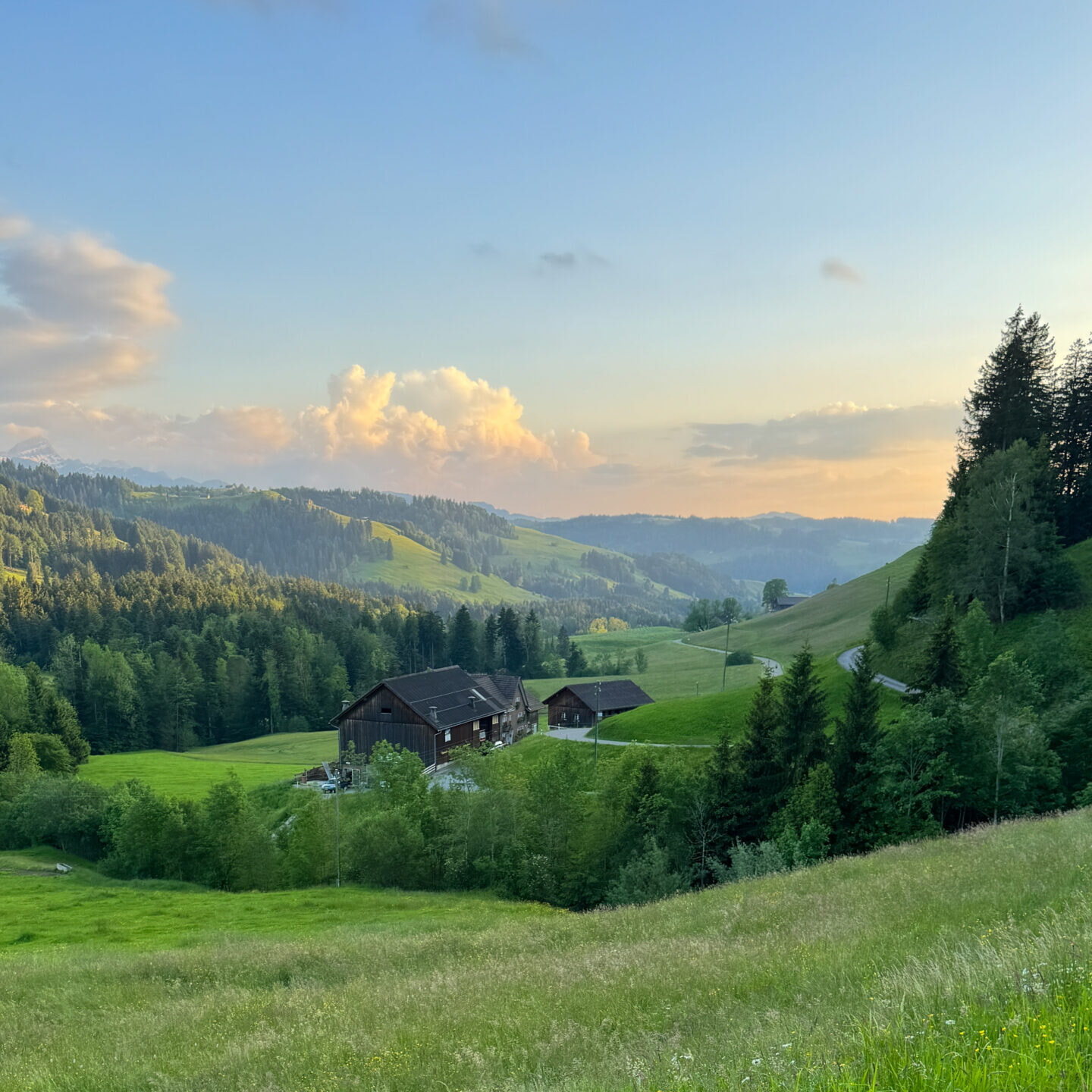 2024 06 04 Appenzellerhuus Fenjaphotography 45