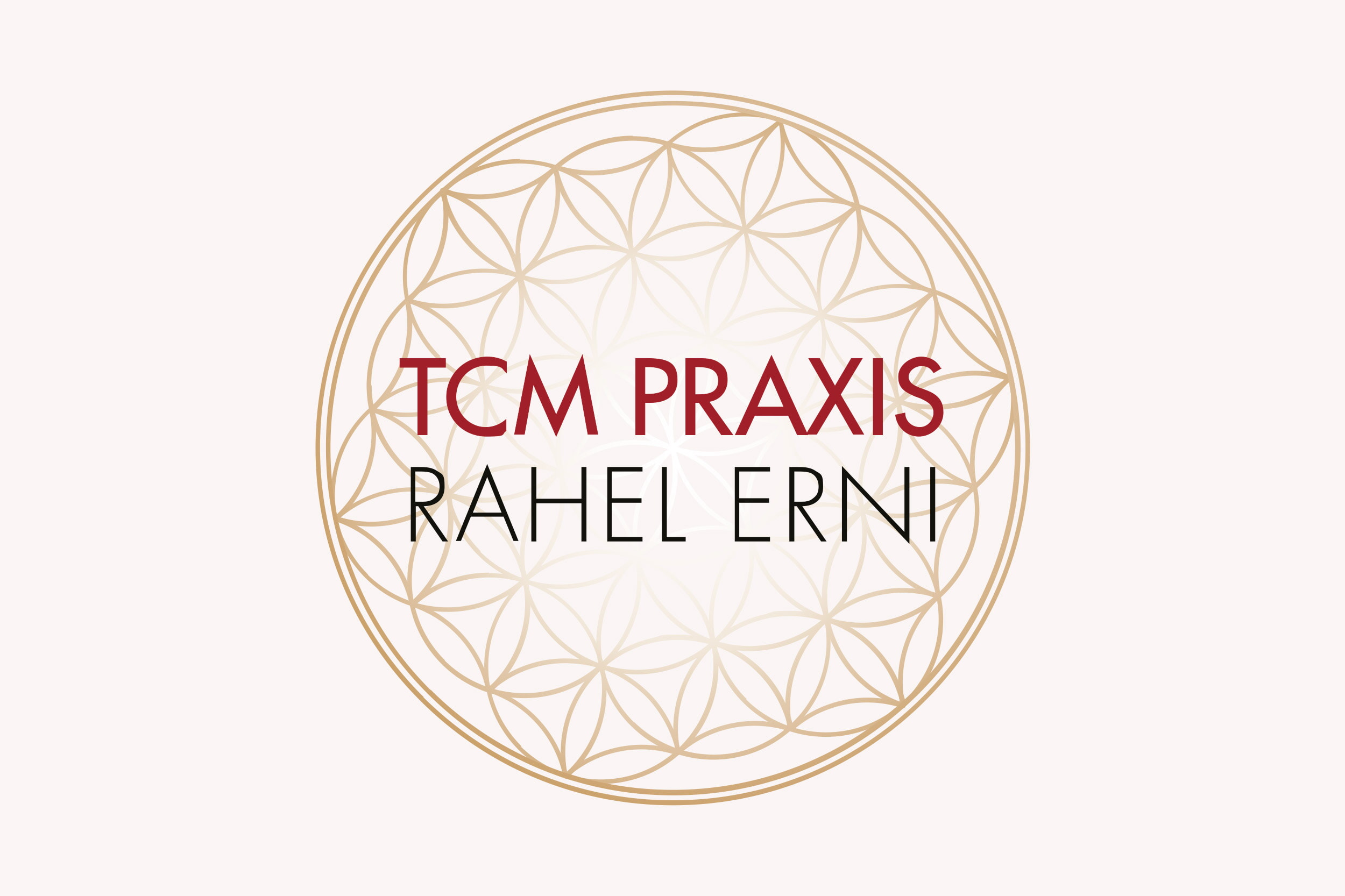 Logo Erni Tcm