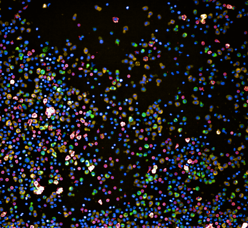 MM026 A9 01 Bh01 1024x942