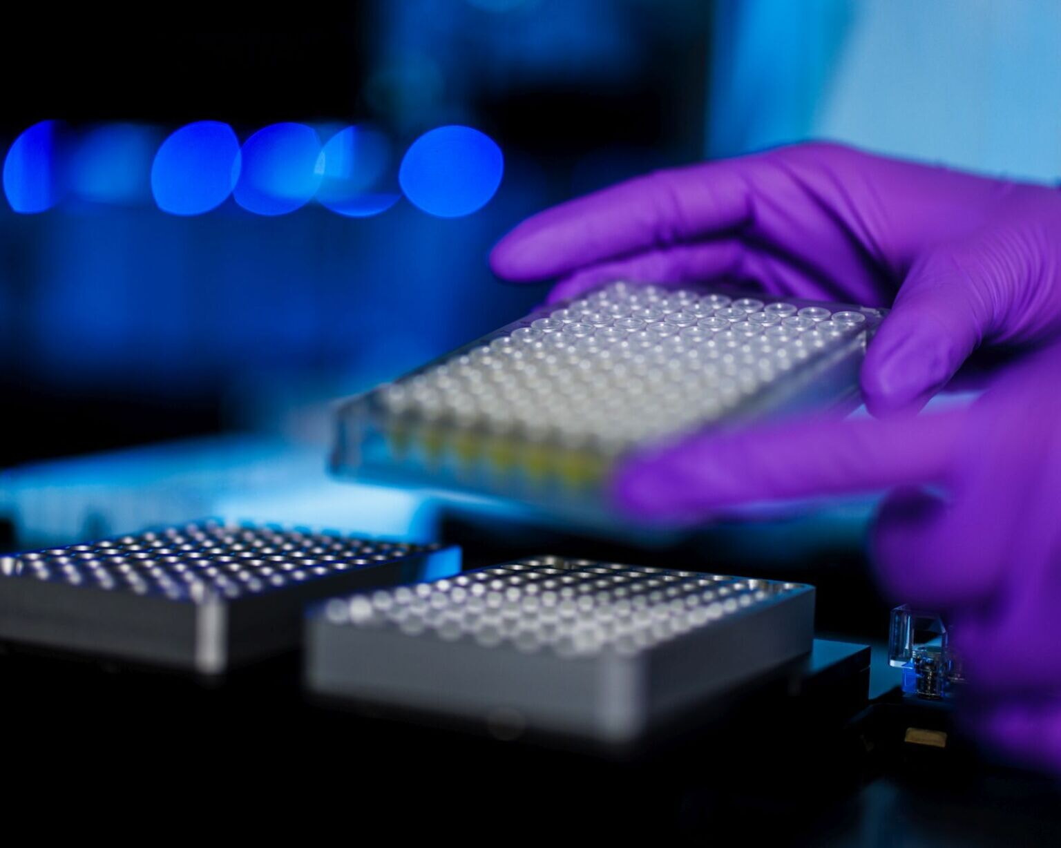 CCCZ Forschung Transnational 1536x1228