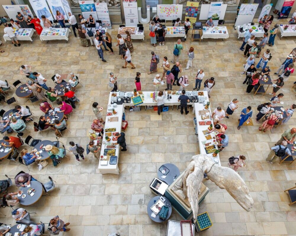 10 NAZ 9184 1000x800