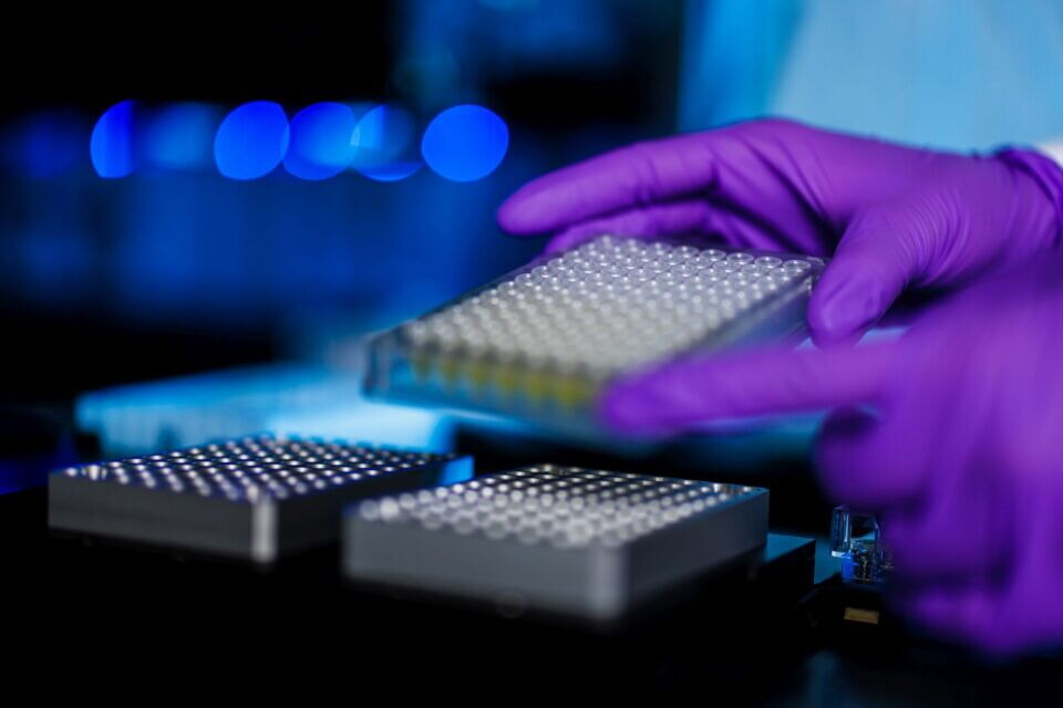 CCCZ Forschung Transnational 960x640