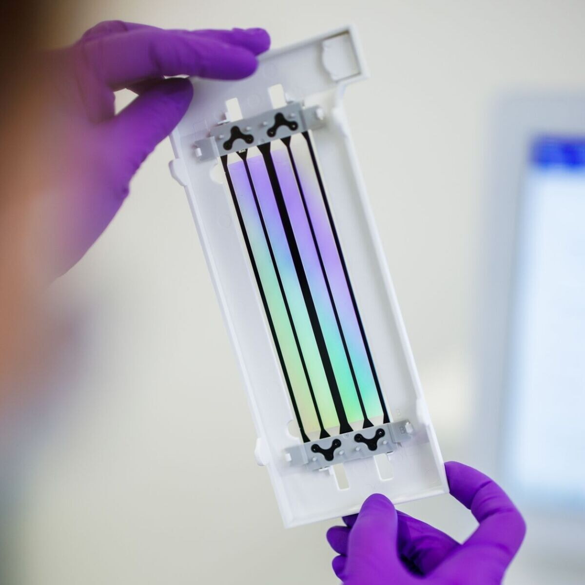 CCCZ Research 1 1200x1200