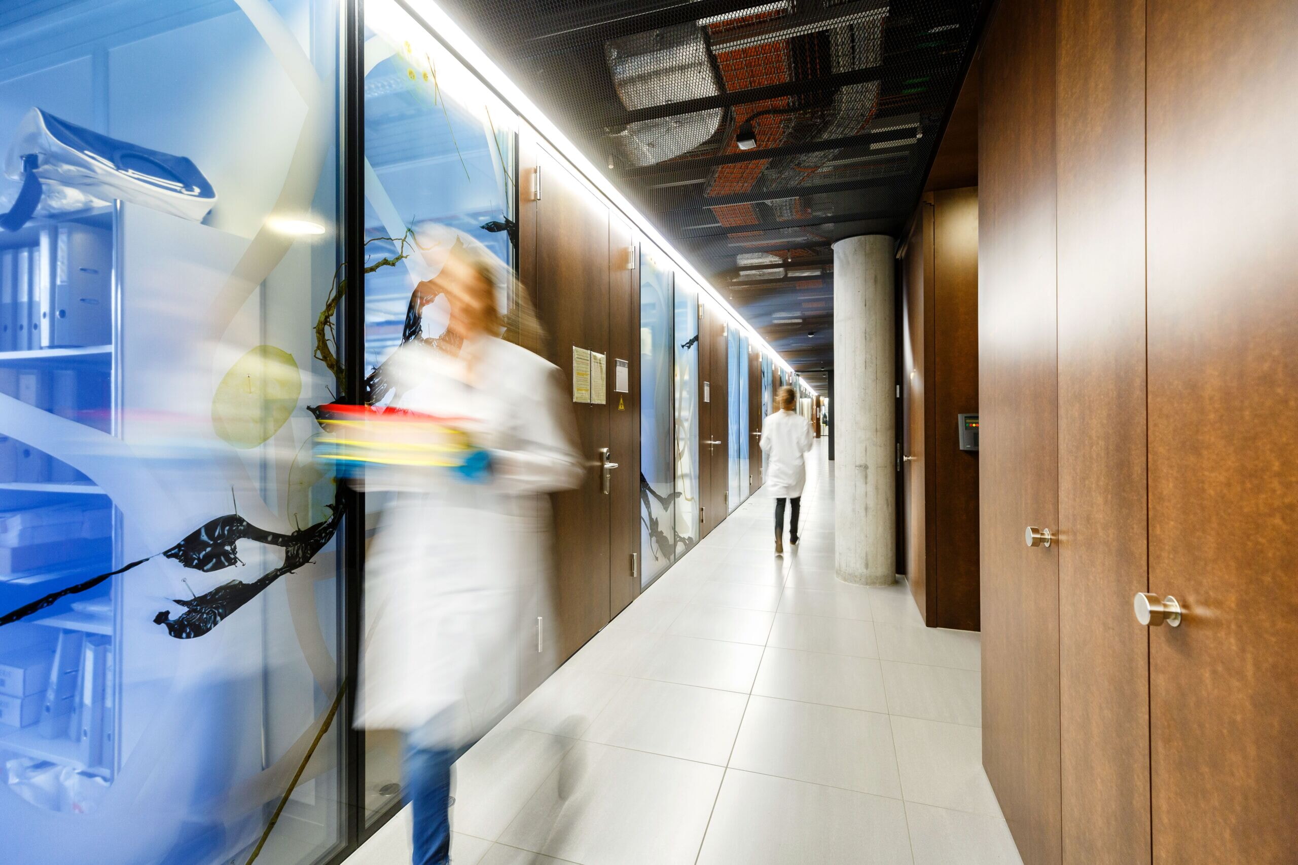 Forschung Cccz Scaled