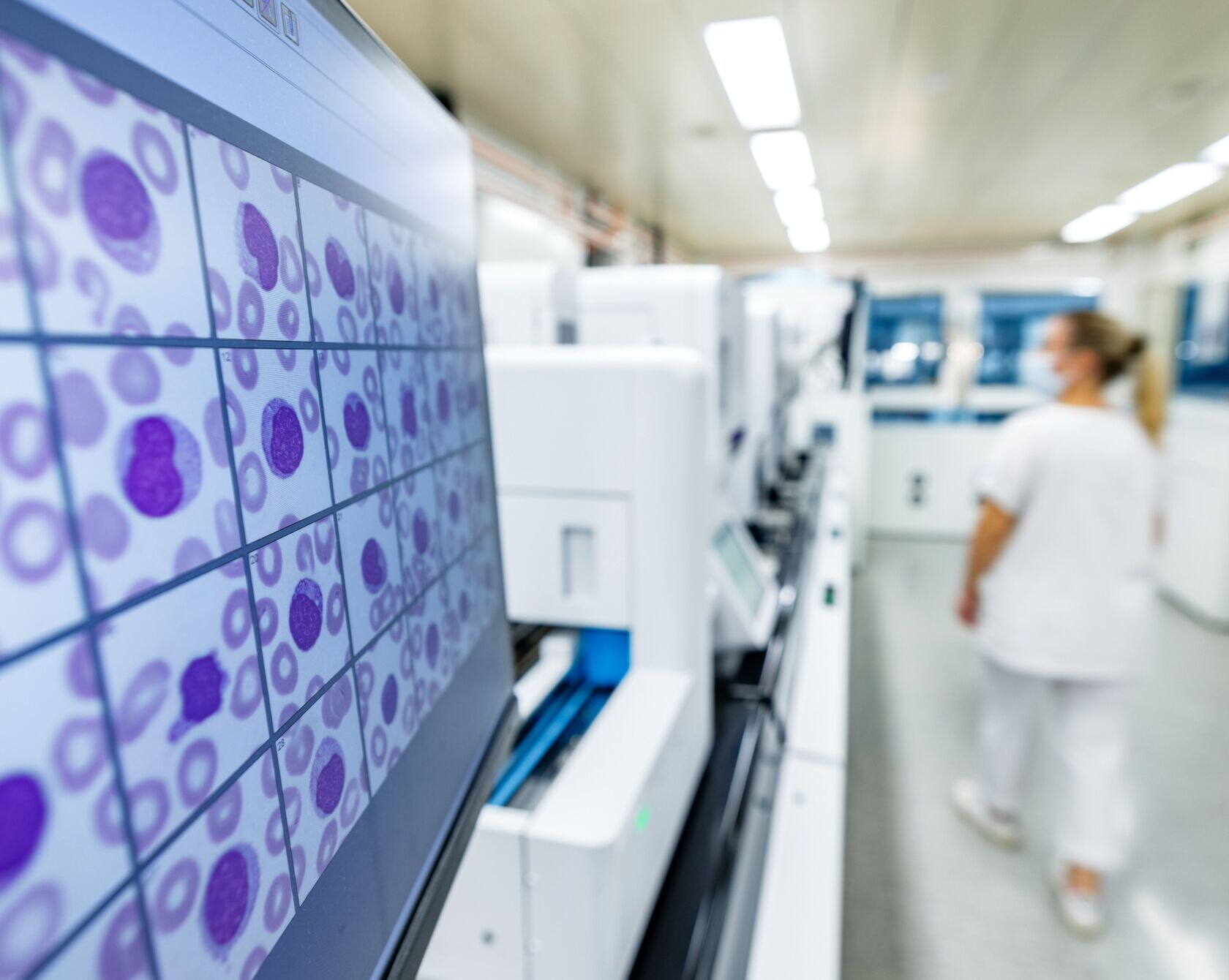 NZ 9338 210916 1680x1340