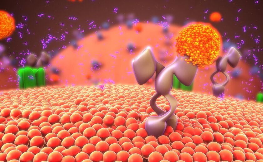 Onkogene Signalwege 1 840x520