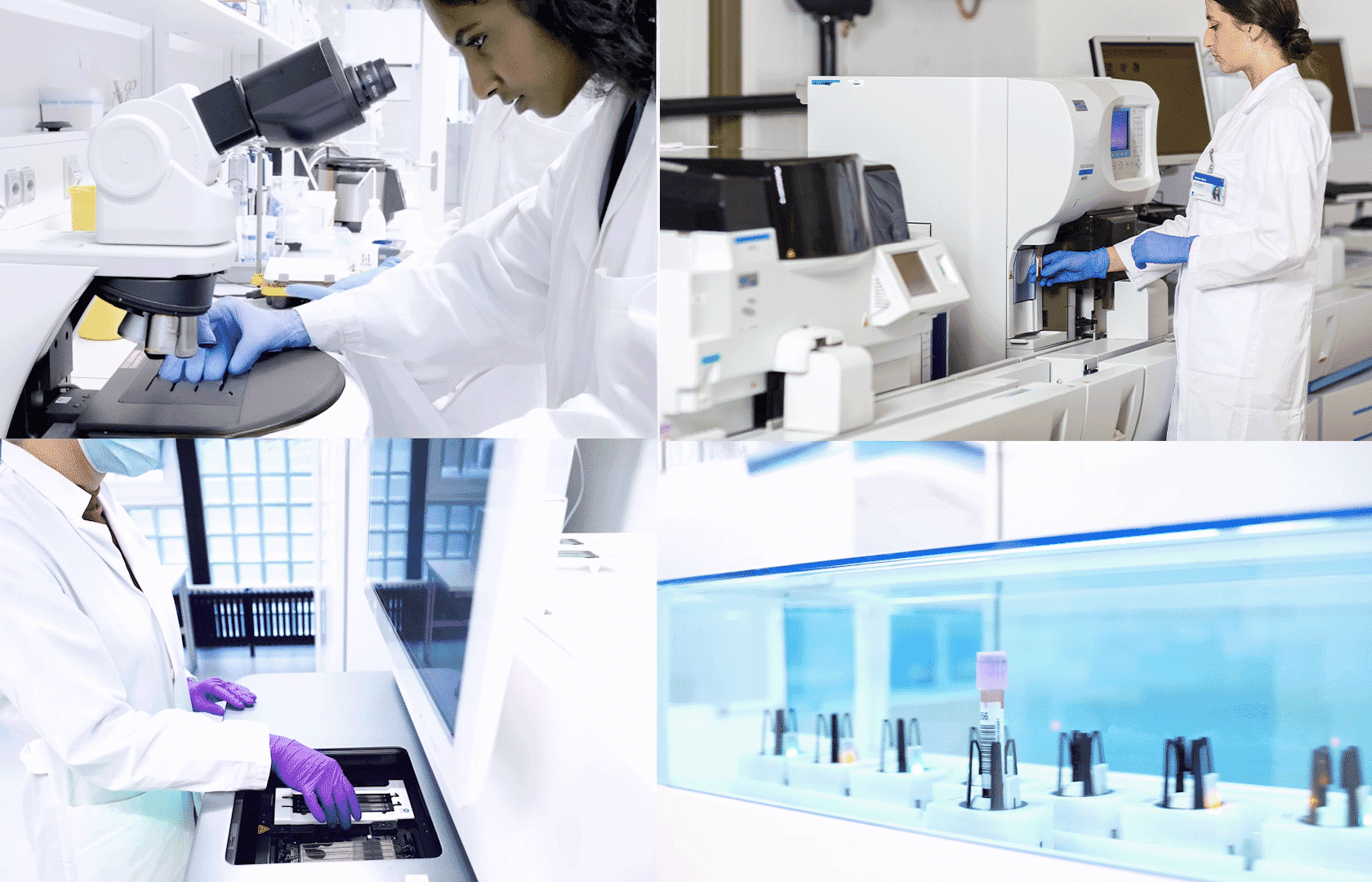 Collage 3 Forschung 1680x1080