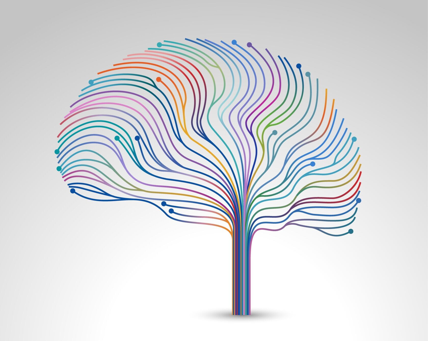 Logo Event Cccz Usz 1680x1340