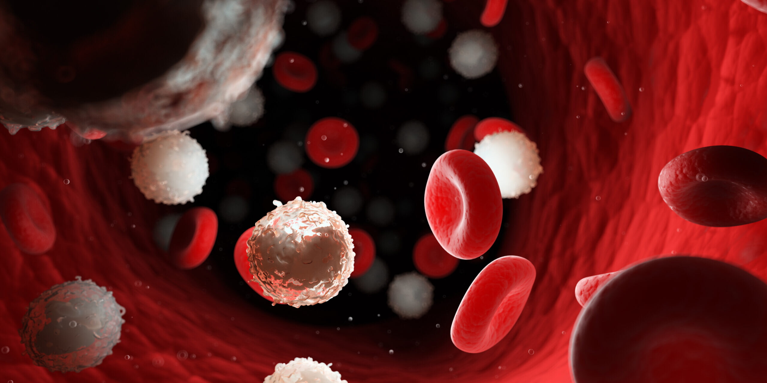 3d Rendered Medically Accurate Illustration Of Too Many White Blood Cells Due To Leukemia