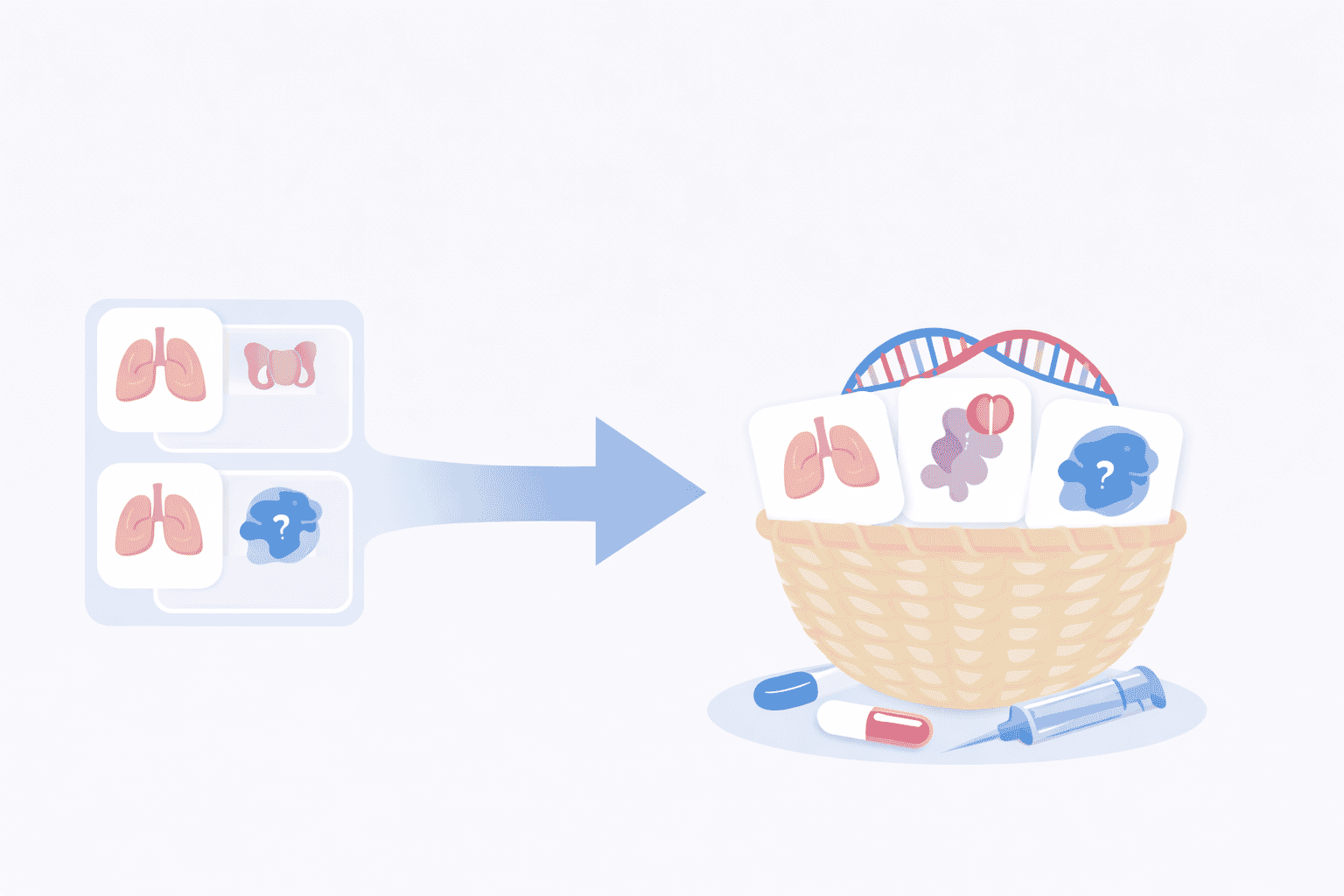 Visualisierung Basket Studien