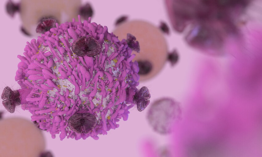 T Cell Lymphocyte With Receptors For Cancer Cell Immunotherapy R