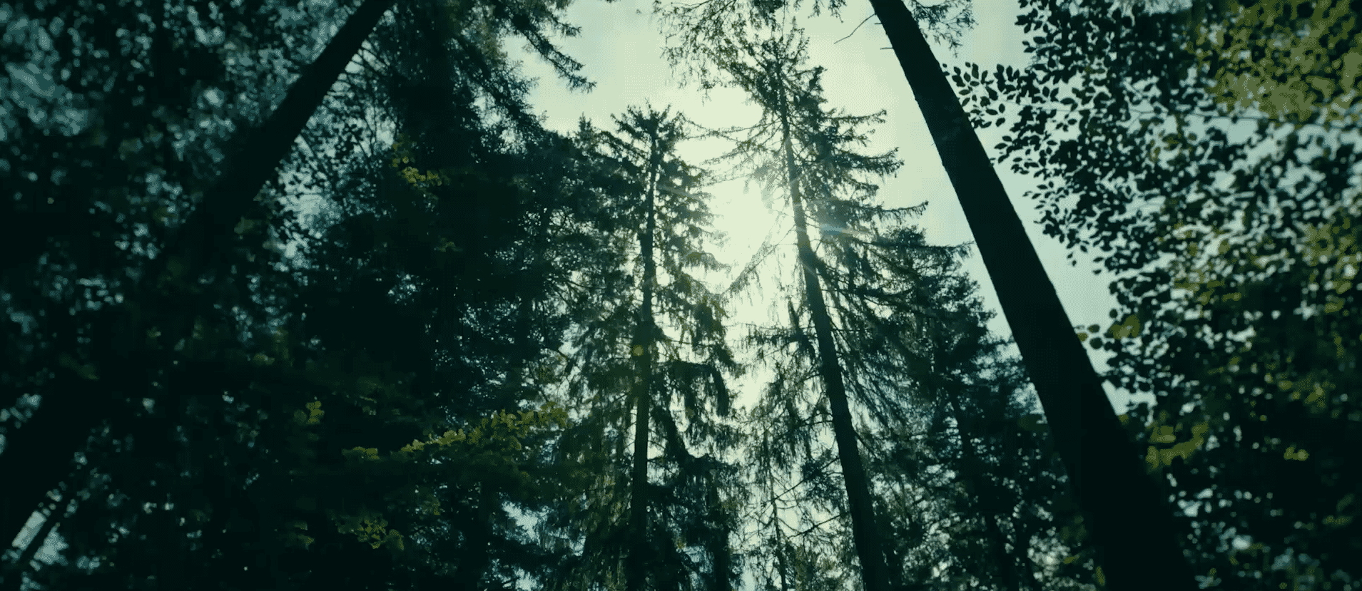 Bildschirmfoto 2024 10 07 Um 15.42.26