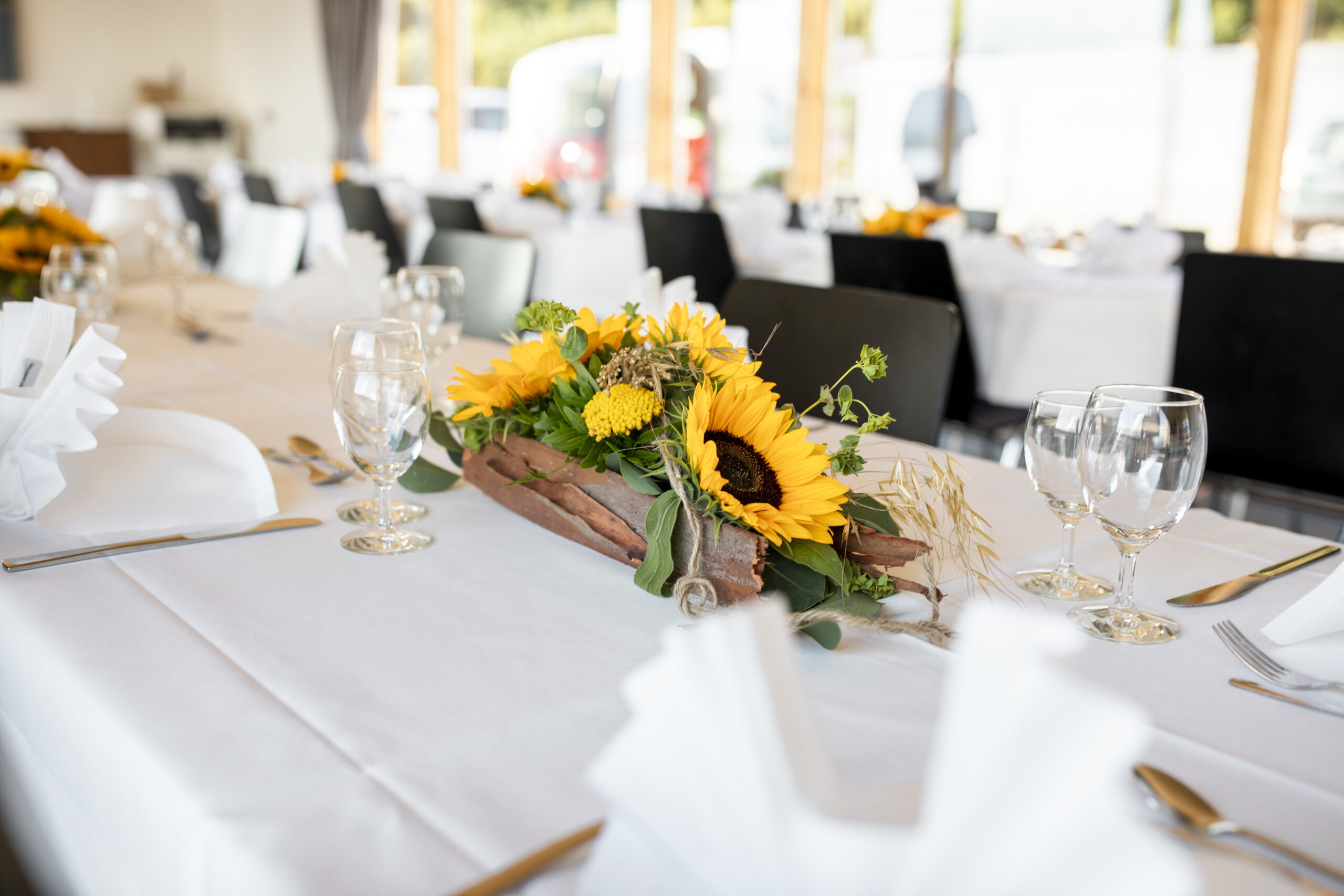 PatriciaThomas722 Scaled