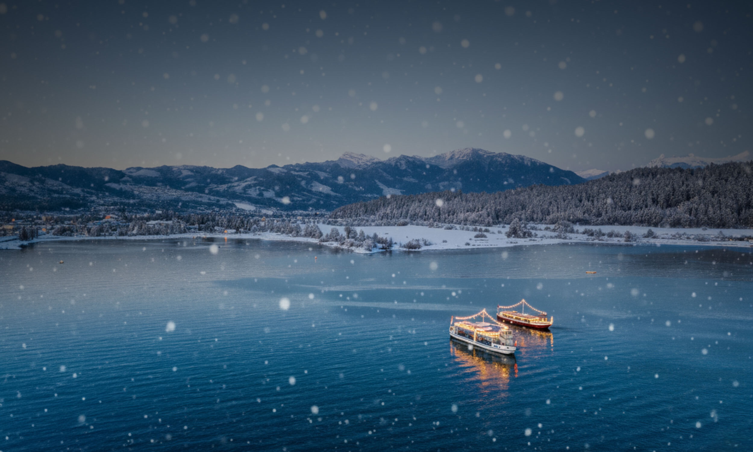 Weihnachtsfeier Zuerichsee