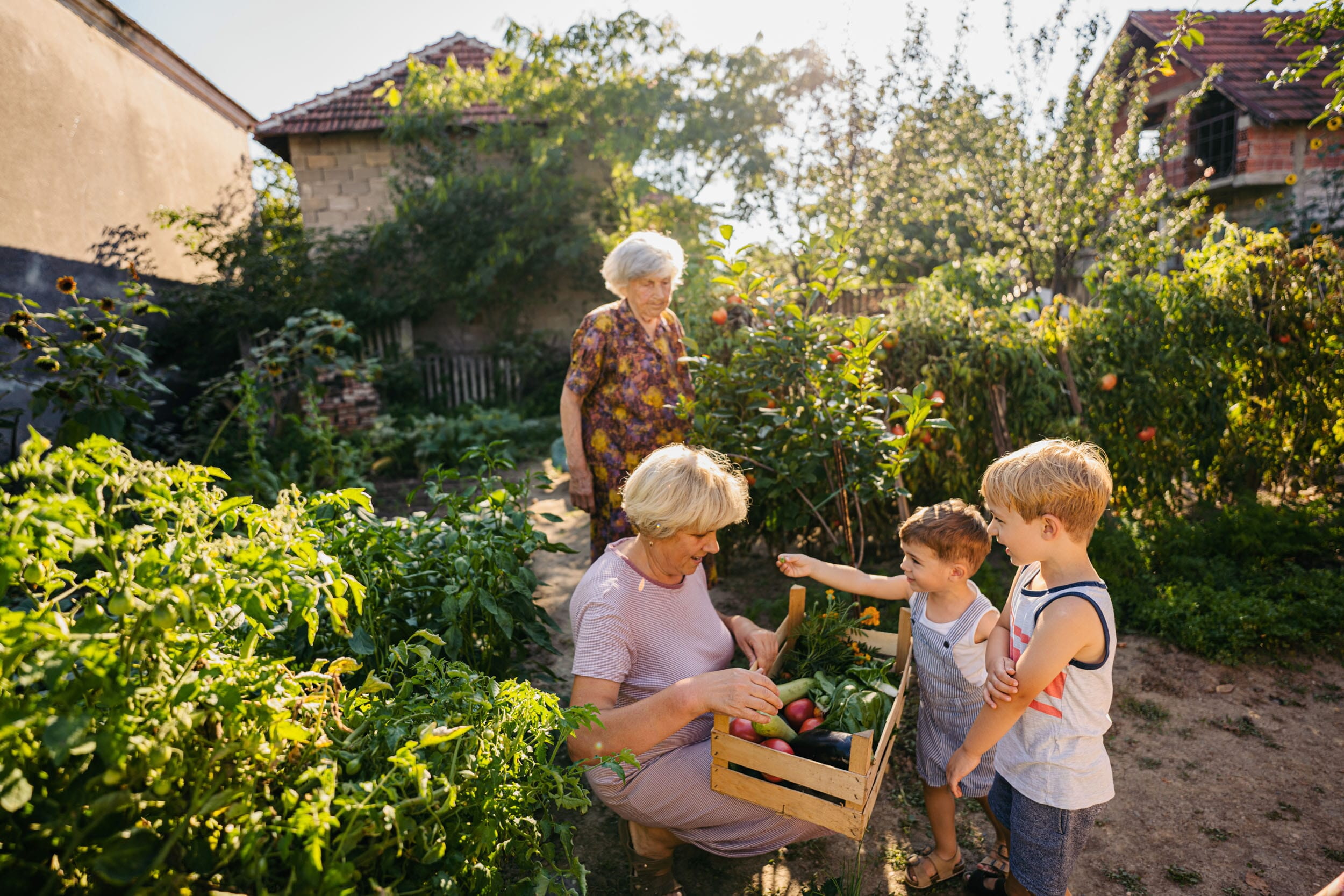 Visiting Our Grandmother's Home Organic Garden