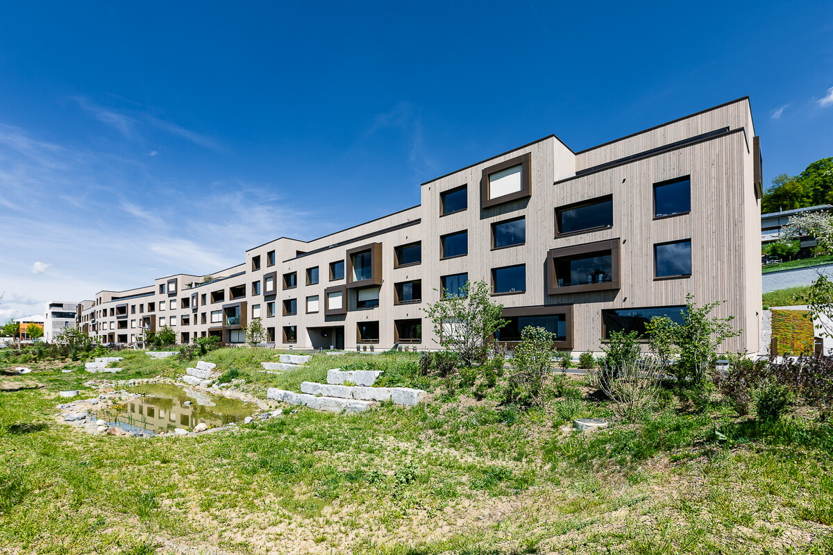 IMAGESTUDIO-imDorf-6365.jpg