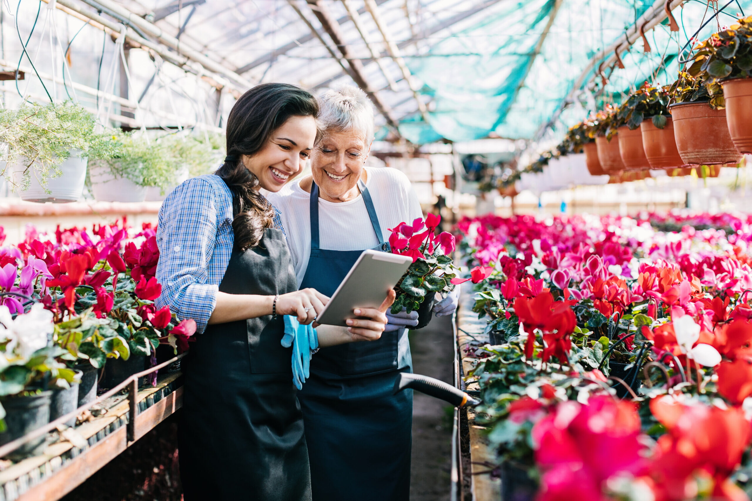 Technology And Flowers