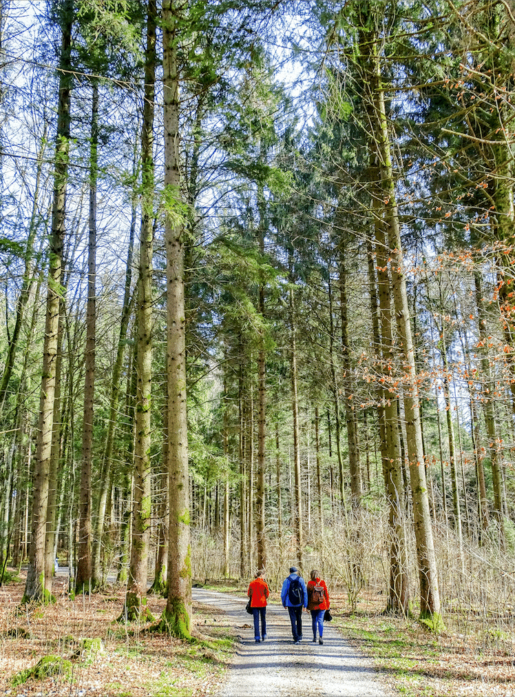 Bildschirmfoto-2017-04-01-um-14.10.41.png