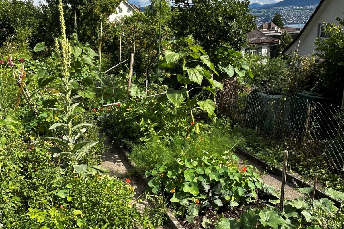 Der Erfahrungsaustausch 2025 - Intergeneration