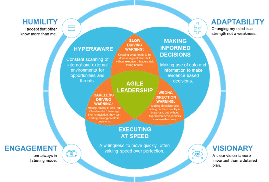 Agile Leader Model