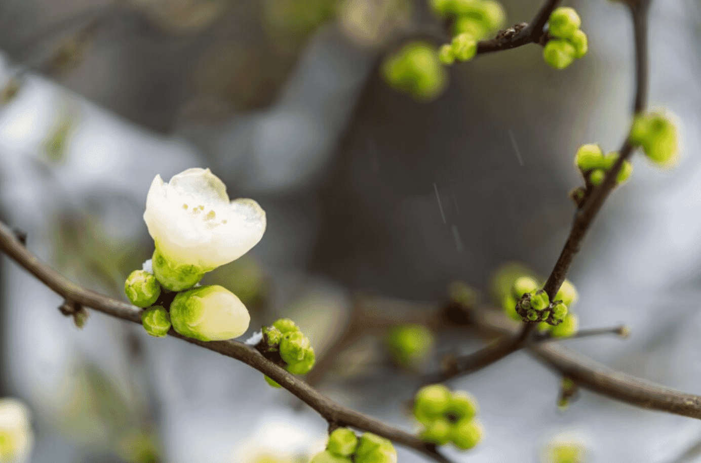 PotentialtoPerformaceArtikelBild