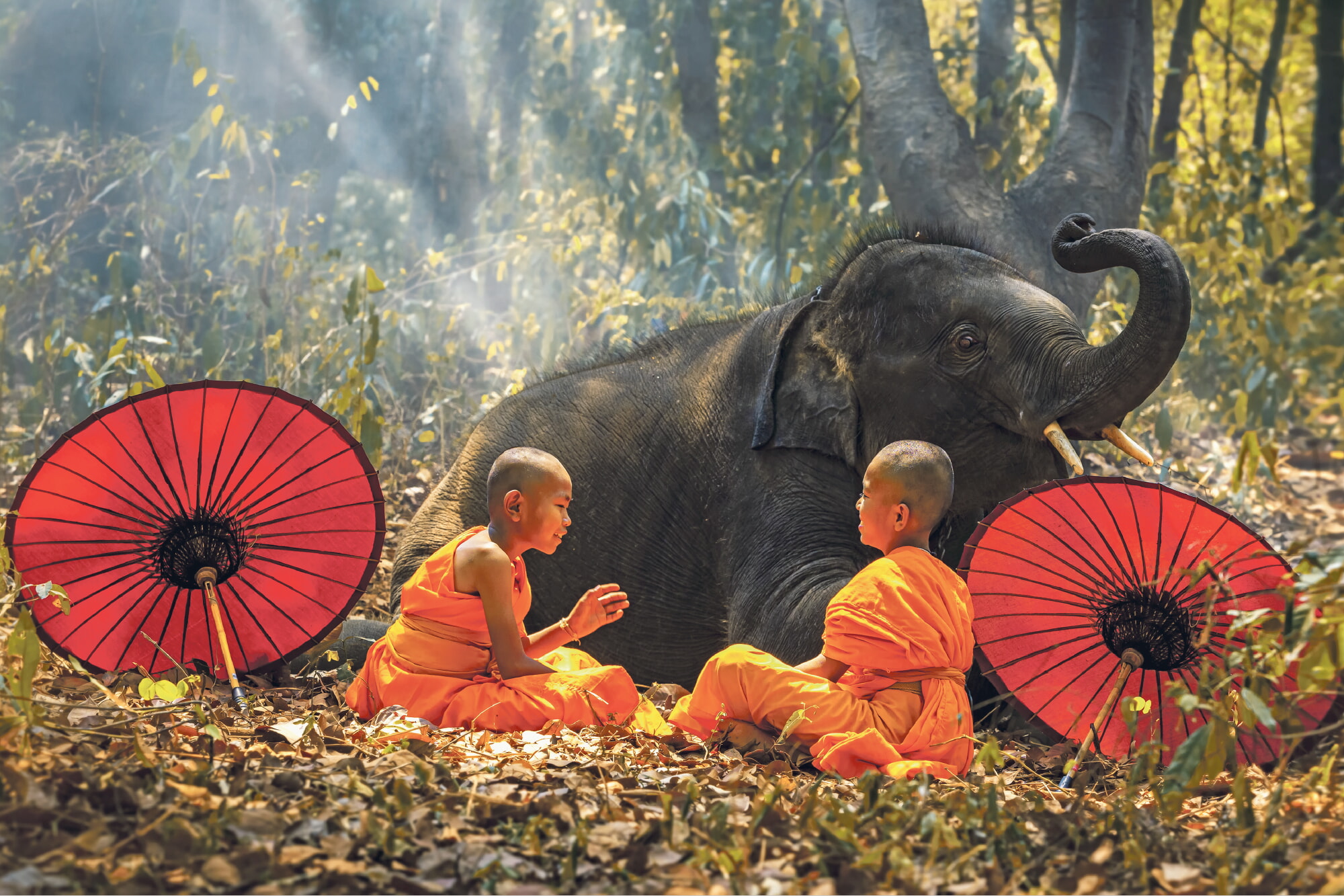 Thailand Titelbild 2000x1333PXL