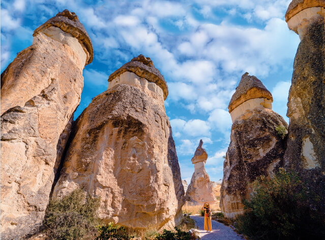 A Titelbild ISTKAP Dreamstime