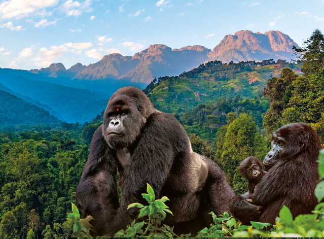 A Titelbild Uganda Dreamstime