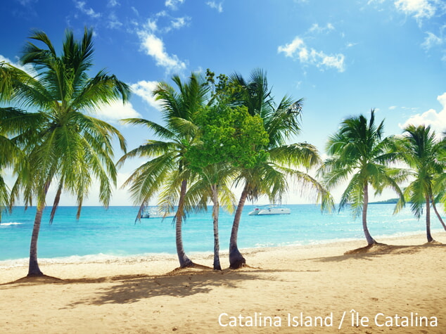 13 CatalinaIsland Dreamstime