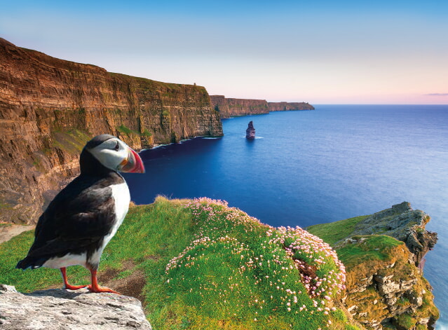 A Titelbild Irland Dreamstime