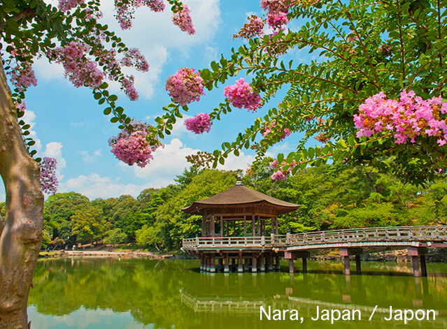 E NaraPavillon Dreamstime