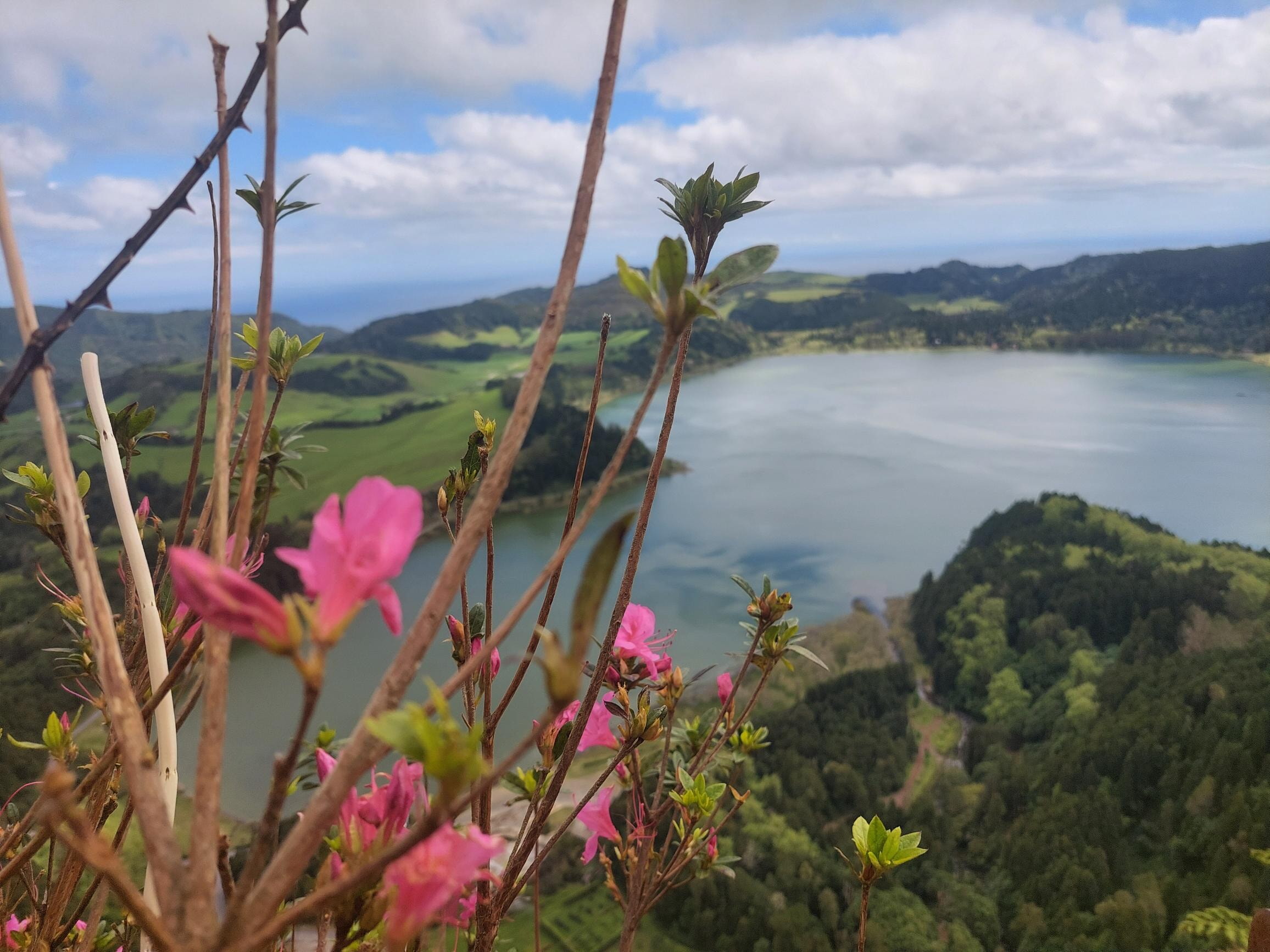 Furnas See