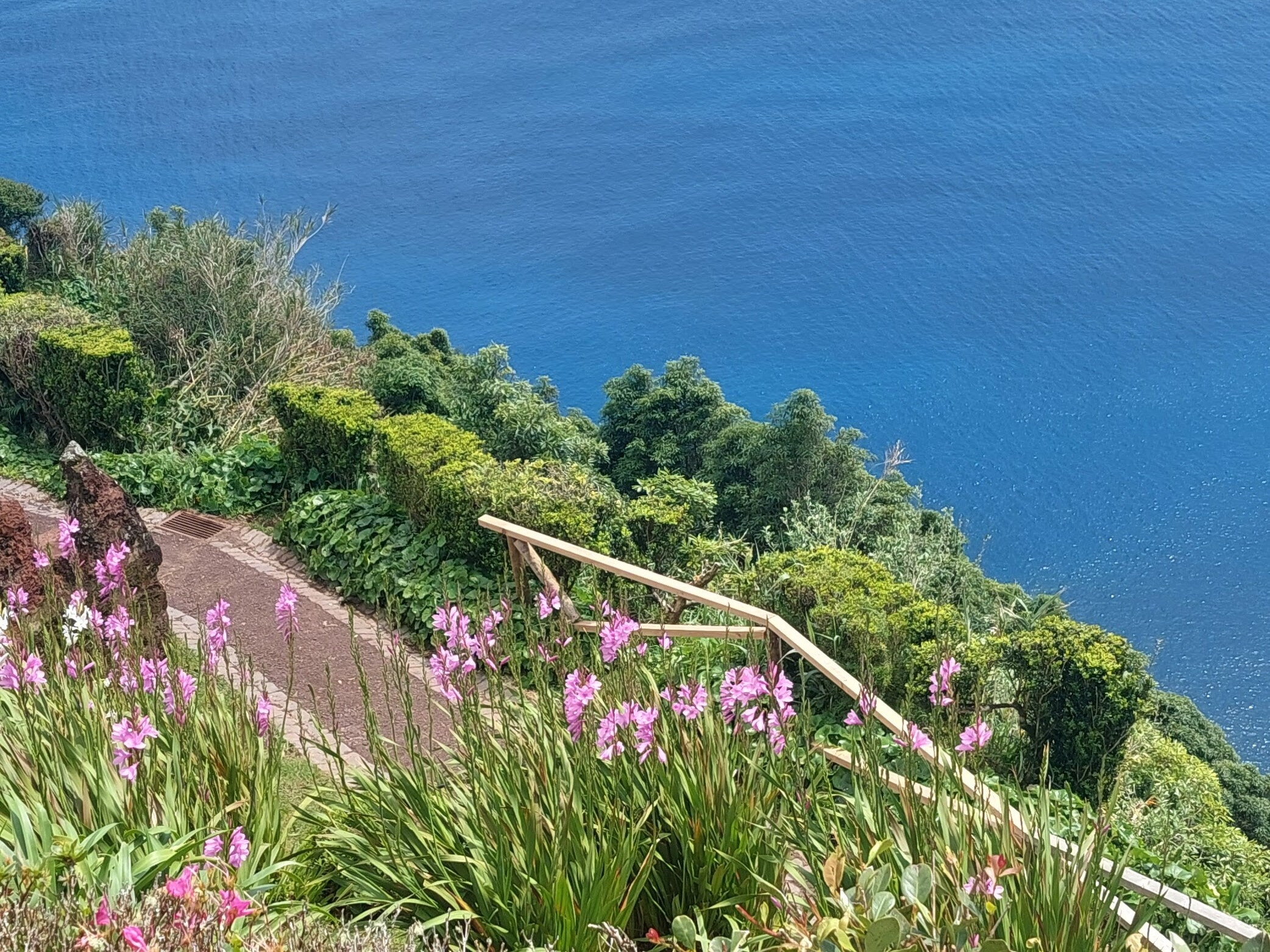 C192e48c 4225 4e67 9a47 1bcb5cc7fa91 1 All 3850