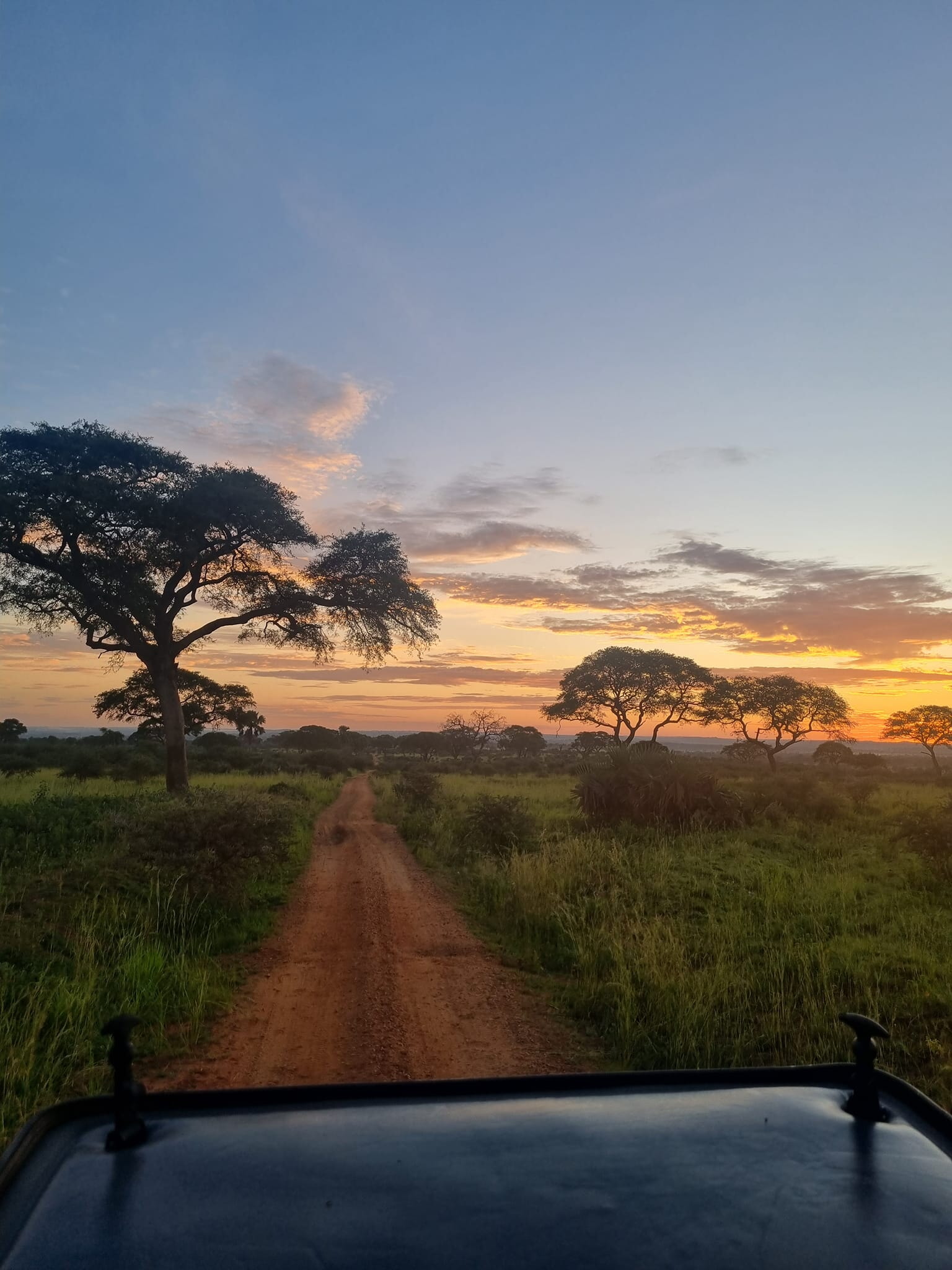 351331465 273391175081213 7912072508244110757 N