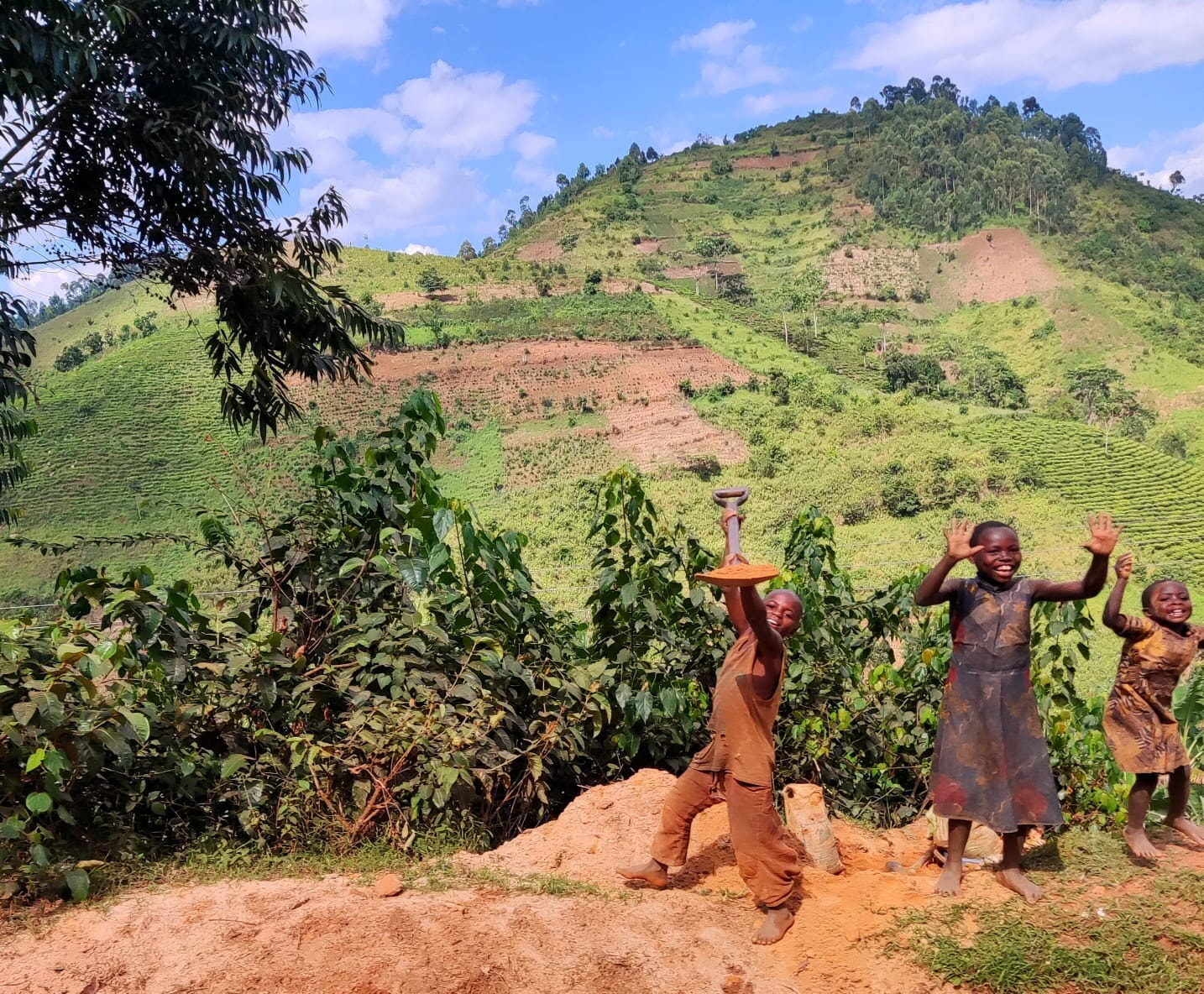 506002327 10237794020327467 5301541146717466377 N