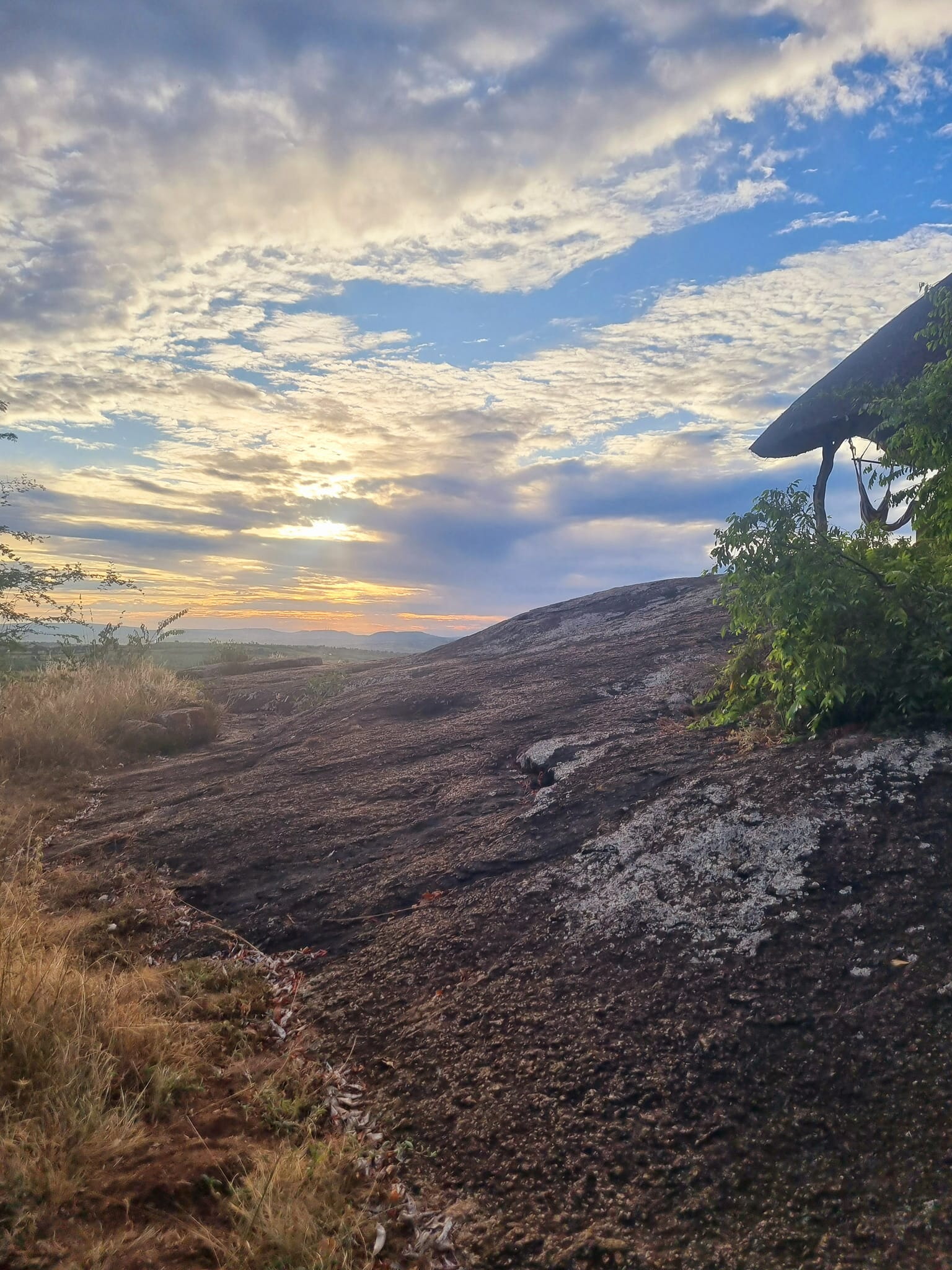 506046816 10237794020407469 3761938671687382231 N