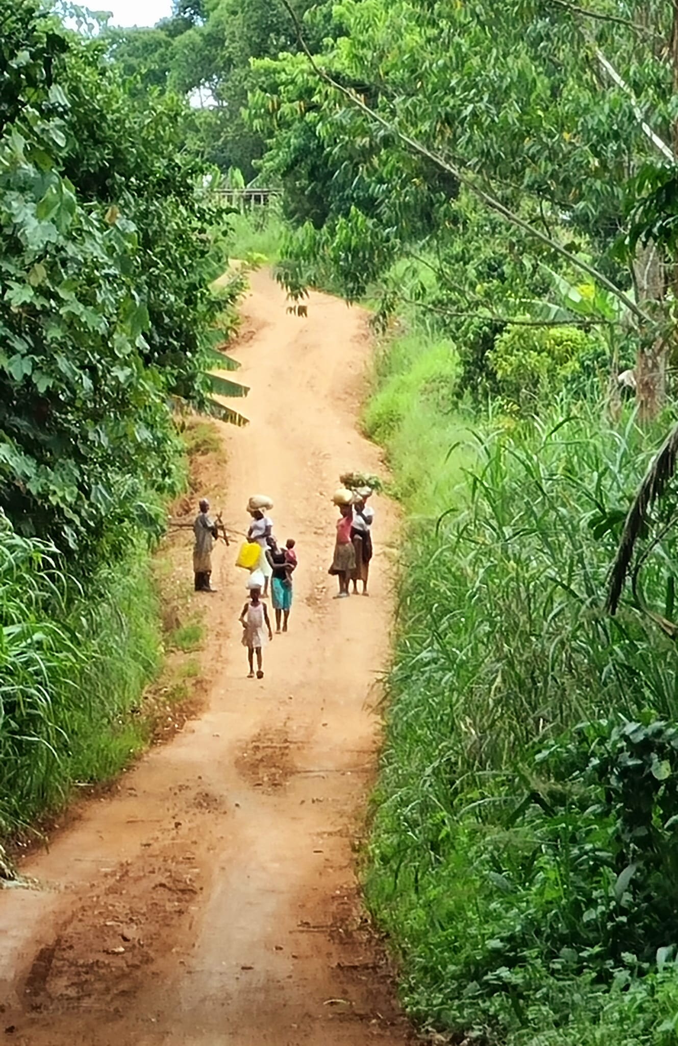 506048316 10237794016407369 1366857432429894657 N