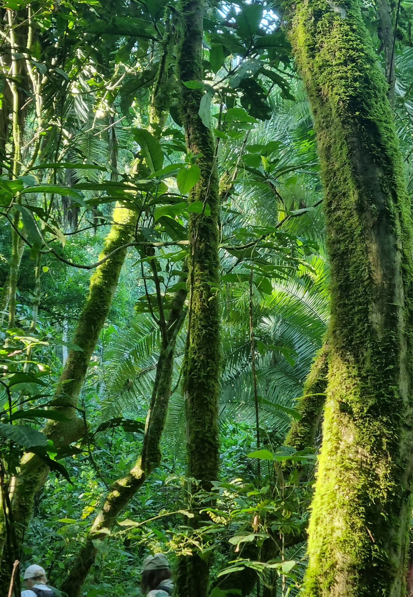 506048524 10237794017327392 3868452954199811248 N