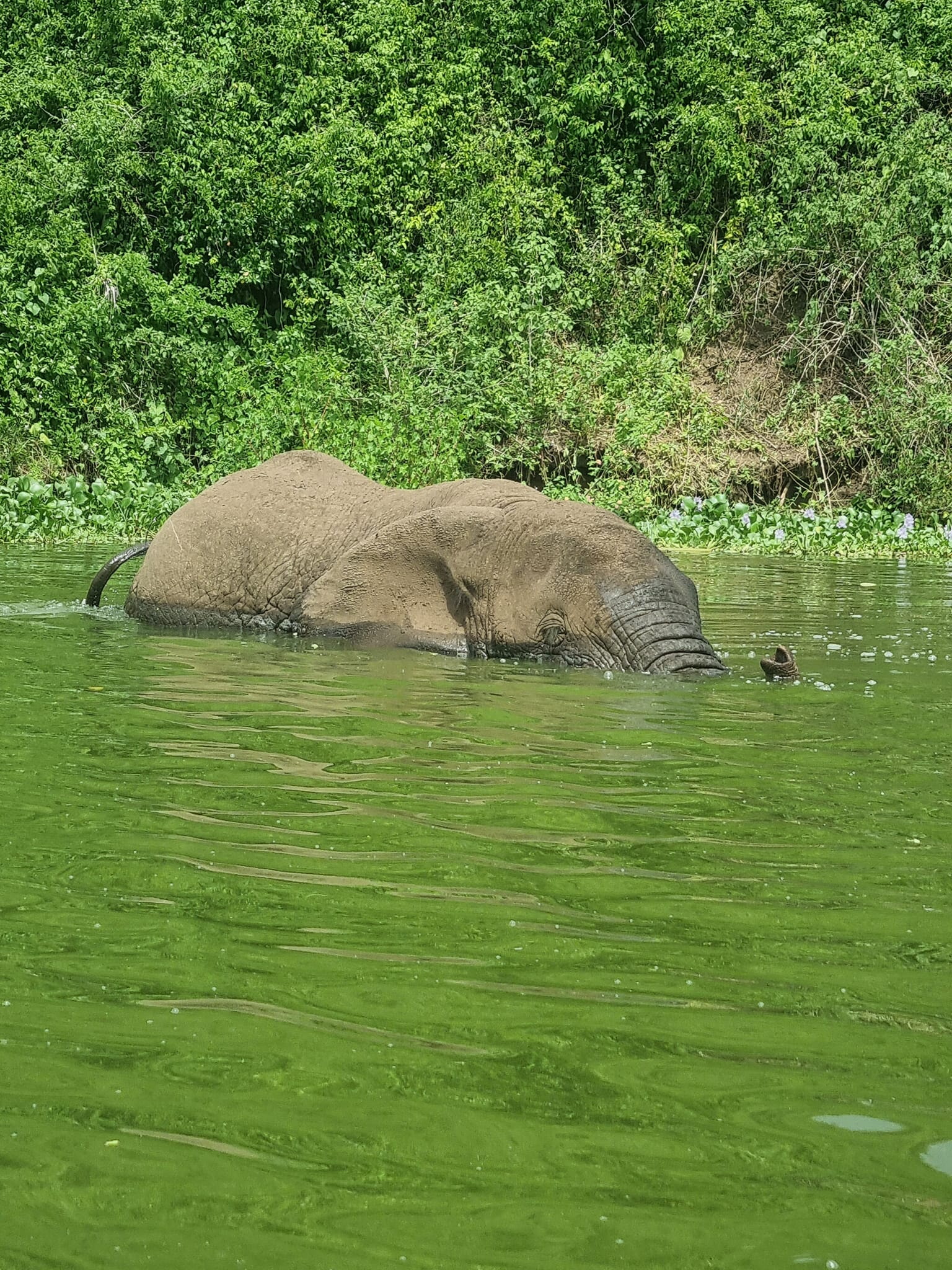 506210382 10237794021887506 2502277708048019814 N