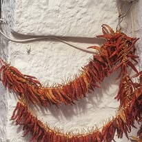 511552430 10238114809707001 2067850858270180807 N