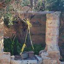 512673851 10238114825227389 1131217036035282727 N