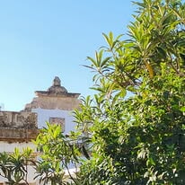 512676862 10238114824787378 4154676620491389444 N