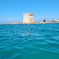 514533739 10238114824747377 7576296416036001729 N