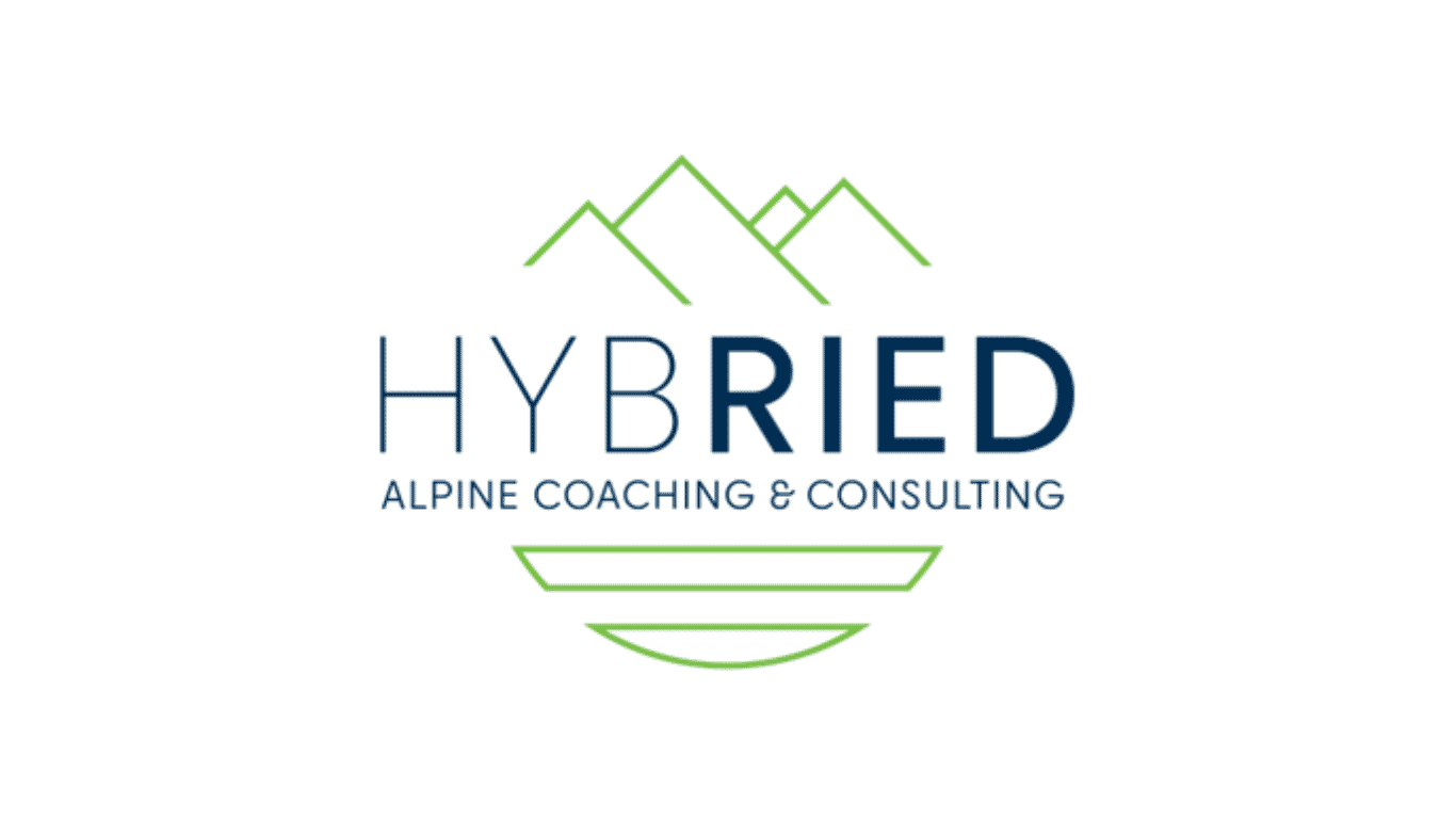 Hybried Logo